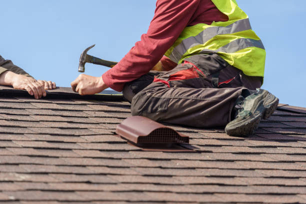 Best Roof Maintenance Services  in Carbondale, IL