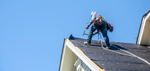 Best Shingle Roofing Installation  in Carbondale, IL